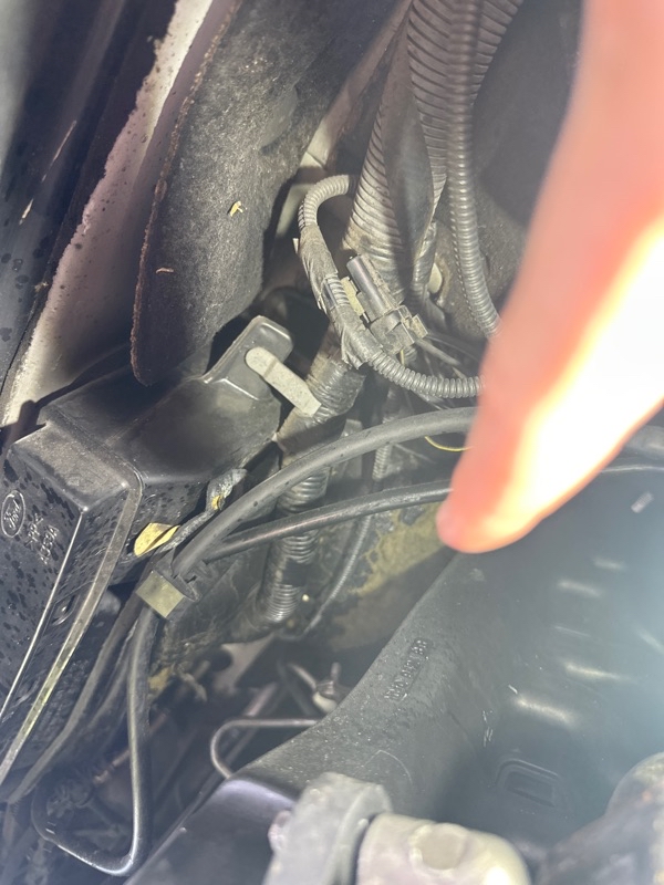 1b56b07b-d02f-49f9-a6b8-9f66ab471da7