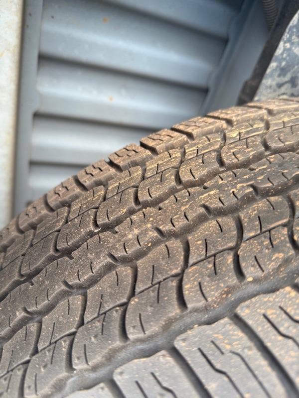 355e65fa-e2d5-4ad3-ab95-4a1e16a83ac9