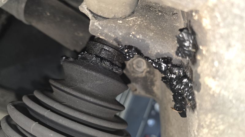 401b071e-499c-4479-a508-91f81e98cc73