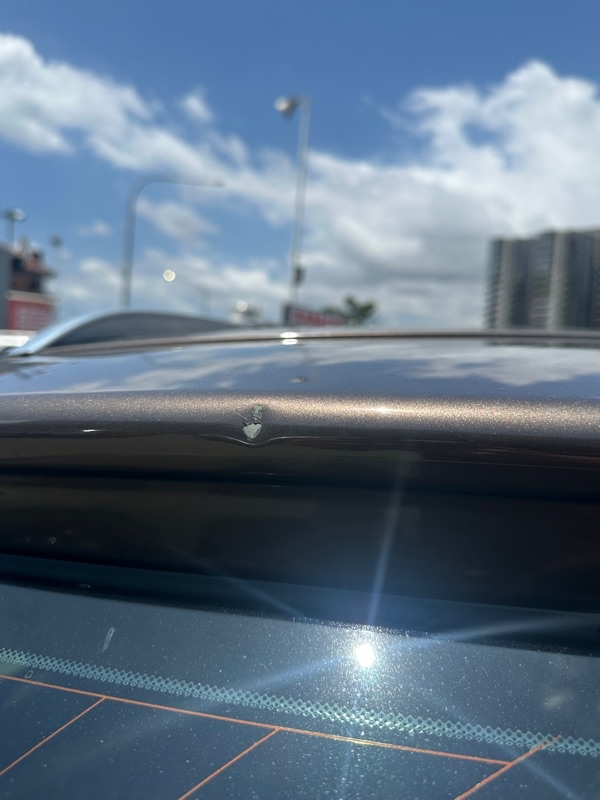 6cc1e871-68ed-412f-9e32-59a4512a7cf4