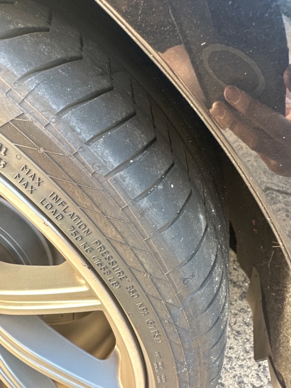 6ceb9959-6628-4795-9a5b-56dadc1806f4