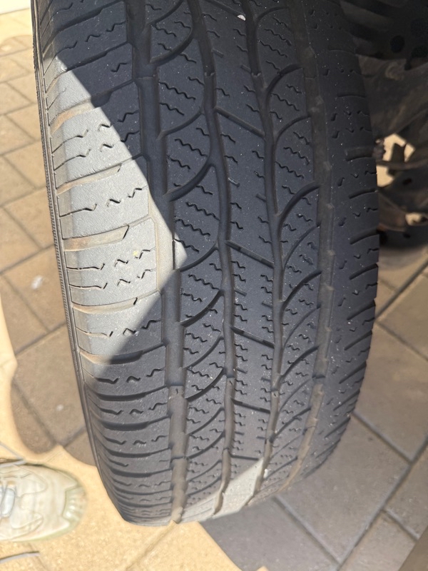 95d0d45a-93c7-4cee-b769-82fc1796e1c7