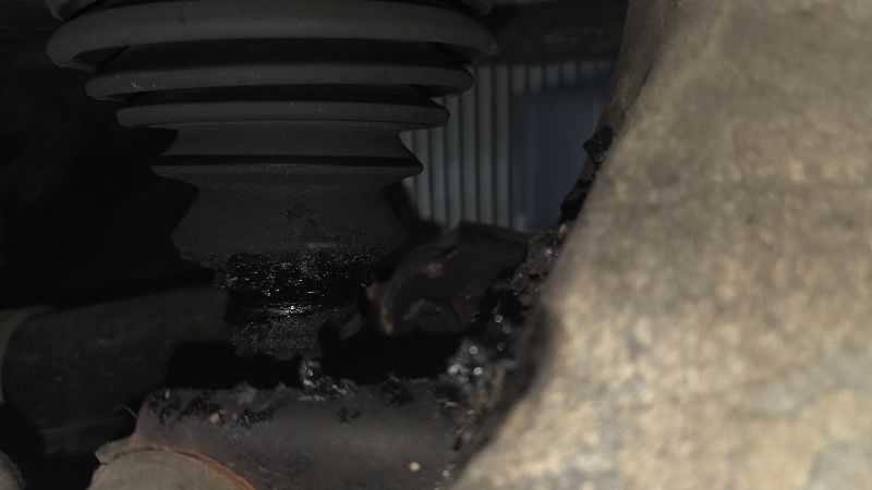 a0fabed0-68ff-4a99-8737-7ea26039a5e1