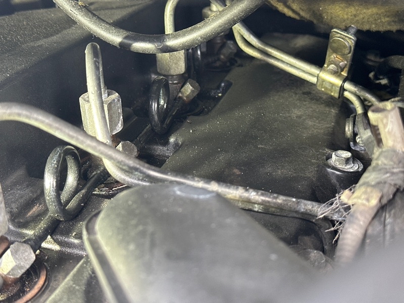 b8eec36b-4100-48af-a1df-263a758bc4ef